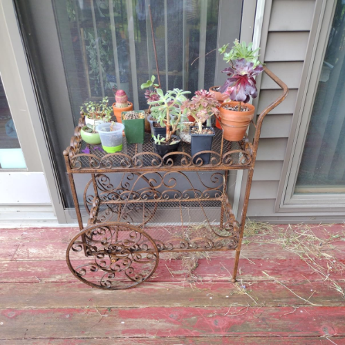 Deer Park Ironworks TC101 Tea Cart Plant Stand, Natural Patina